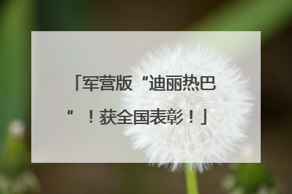 军营版“迪丽热巴”！获全国表彰！
