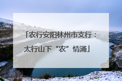 农行安阳林州市支行：太行山下“农”情涌