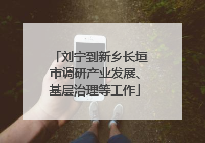 刘宁到新乡长垣市调研产业发展、基层治理等工作