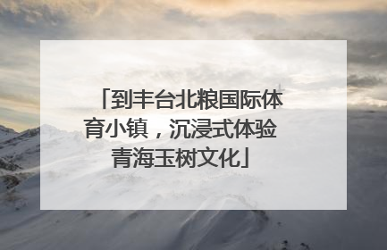 到丰台北粮国际体育小镇，沉浸式体验青海玉树文化