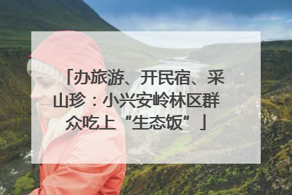 办旅游、开民宿、采山珍：小兴安岭林区群众吃上“生态饭”