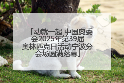 动就一起 中国奥委会2025年第39届奥林匹克日活动宁波分会场圆满落幕
