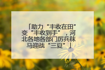 助力“丰收在田”变“丰收到手”，河北各地各部门厉兵秣马迎战“三夏”