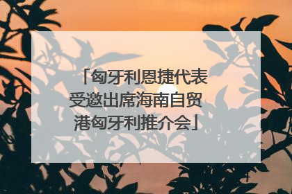 匈牙利恩捷代表受邀出席海南自贸港匈牙利推介会