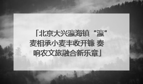 北京大兴瀛海镇“瀛”麦相承小麦丰收开镰 奏响农文旅融合新乐章