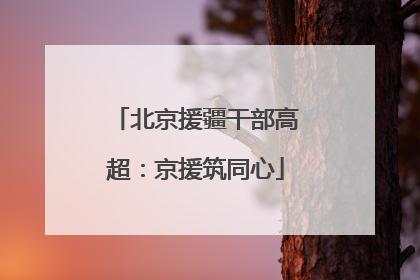 北京援疆干部高超：京援筑同心