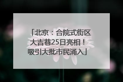 北京：合院式街区大吉巷25日亮相！吸引大批市民涌入