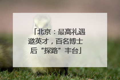 北京：最高礼遇邀英才，百名博士后“探路”丰台