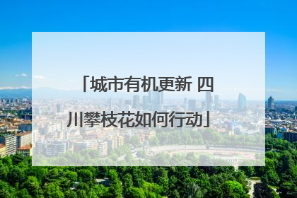 城市有机更新 四川攀枝花如何行动