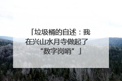 垃圾桶的自述：我在兴山水月寺做起了“数字岗哨”