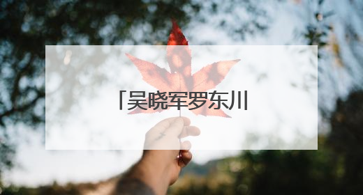 吴晓军罗东川会见出席青洽会的国内外嘉宾