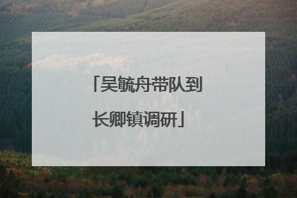 吴毓舟带队到长卿镇调研