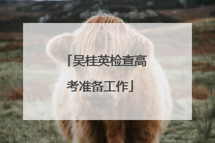 吴桂英检查高考准备工作