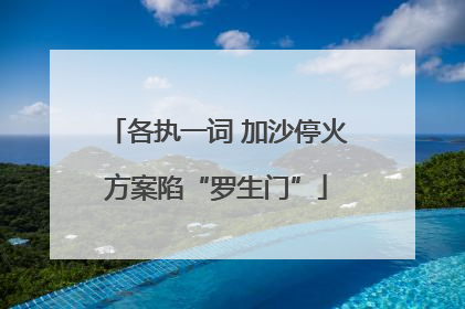 各执一词 加沙停火方案陷“罗生门”