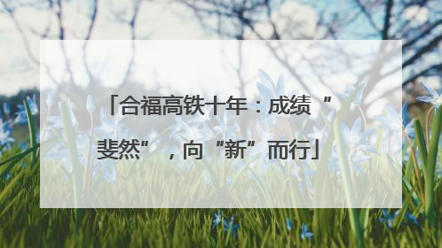 合福高铁十年：成绩“斐然”，向“新”而行