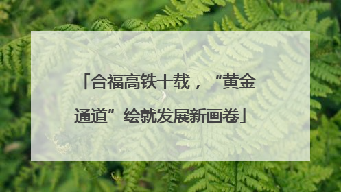 合福高铁十载，“黄金通道”绘就发展新画卷
