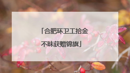 合肥环卫工拾金不昧获赠锦旗