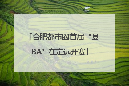 合肥都市圈首届“县BA”在定远开赛