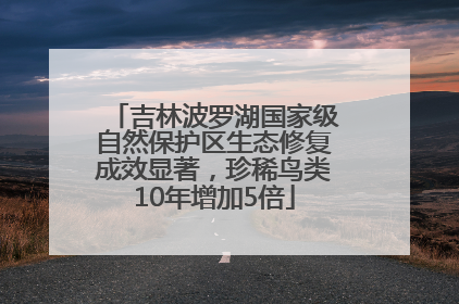 吉林波罗湖国家级自然保护区生态修复成效显著，珍稀鸟类10年增加5倍