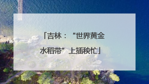 吉林：“世界黄金水稻带”上插秧忙