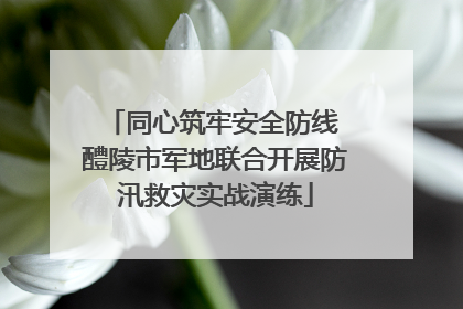 同心筑牢安全防线 醴陵市军地联合开展防汛救灾实战演练