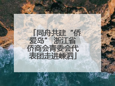 同舟共建“侨爱岛” 浙江省侨商会青委会代表团走进嵊泗
