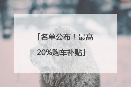 名单公布！最高20%购车补贴