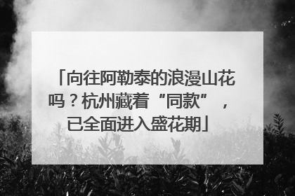 向往阿勒泰的浪漫山花吗？杭州藏着“同款”，已全面进入盛花期