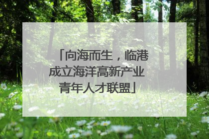 向海而生，临港成立海洋高新产业青年人才联盟