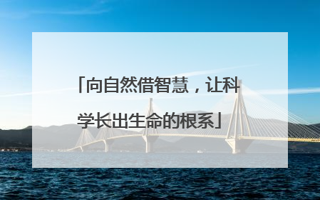 向自然借智慧，让科学长出生命的根系