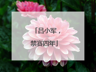 吕小军，禁赛四年