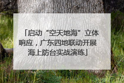 启动“空天地海”立体响应，广东四地联动开展海上防台实战演练