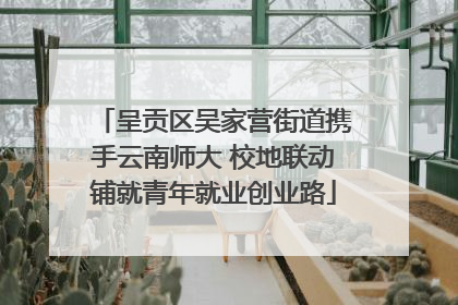 呈贡区吴家营街道携手云南师大 校地联动铺就青年就业创业路