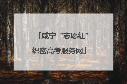 咸宁“志愿红”织密高考服务网