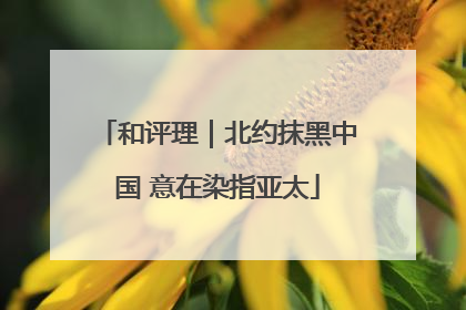 和评理｜北约抹黑中国 意在染指亚太