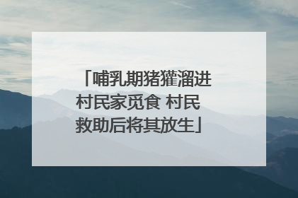 哺乳期猪獾溜进村民家觅食 村民救助后将其放生