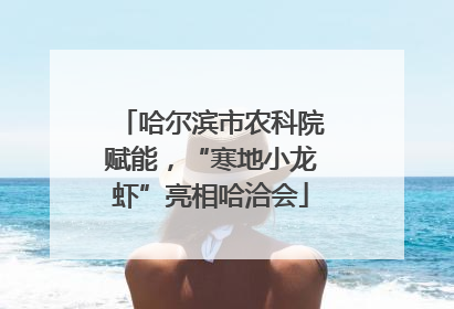哈尔滨市农科院赋能，“寒地小龙虾”亮相哈洽会