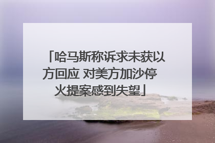 哈马斯称诉求未获以方回应 对美方加沙停火提案感到失望