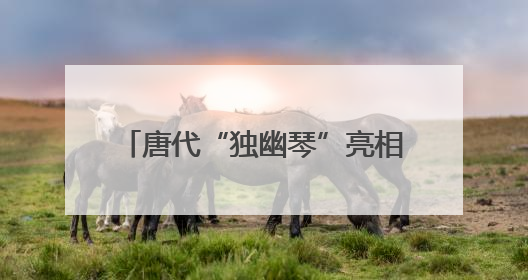 唐代“独幽琴”亮相岳阳楼博物馆 千年琴韵洞庭湖畔苏醒
