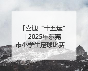 喜迎“十五运”｜2025年东莞市小学生足球比赛圆满收官