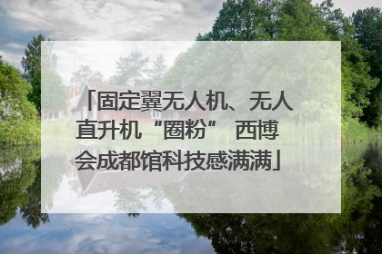 固定翼无人机、无人直升机“圈粉” 西博会成都馆科技感满满