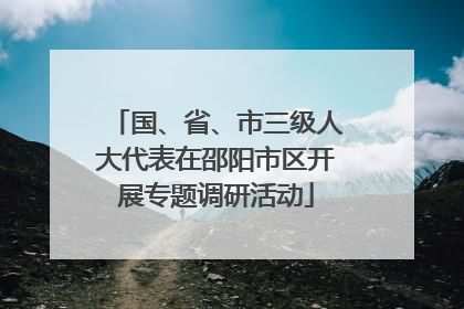 国、省、市三级人大代表在邵阳市区开展专题调研活动