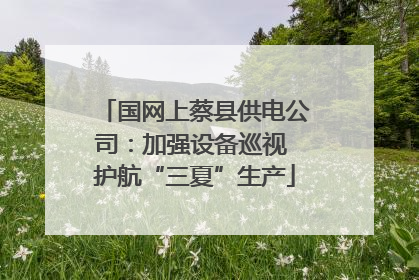 国网上蔡县供电公司：加强设备巡视 护航“三夏”生产