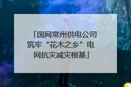 国网常州供电公司筑牢“花木之乡”电网抗灾减灾根基