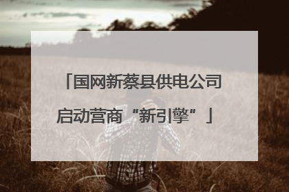 国网新蔡县供电公司启动营商“新引擎”