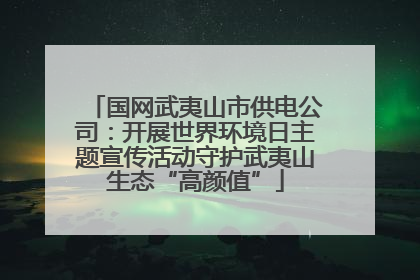 国网武夷山市供电公司：开展世界环境日主题宣传活动守护武夷山生态“高颜值”