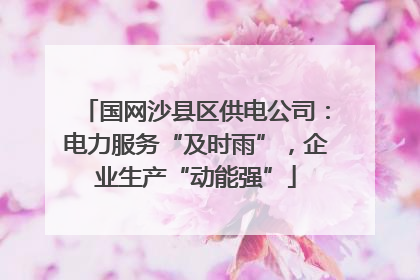 国网沙县区供电公司：电力服务“及时雨”，企业生产“动能强”