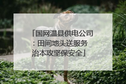 国网温县供电公司：田间地头送服务 治本攻坚保安全