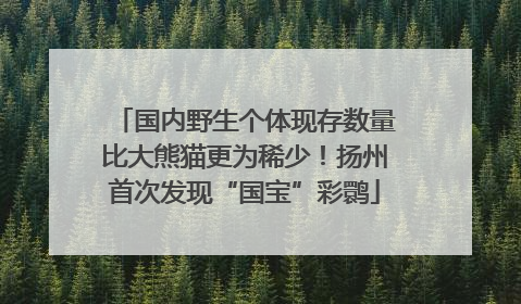 国内野生个体现存数量比大熊猫更为稀少！扬州首次发现“国宝”彩鹮