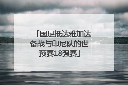 国足抵达雅加达备战与印尼队的世预赛18强赛